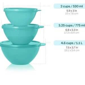 Aqua Food Storage Bowl Set